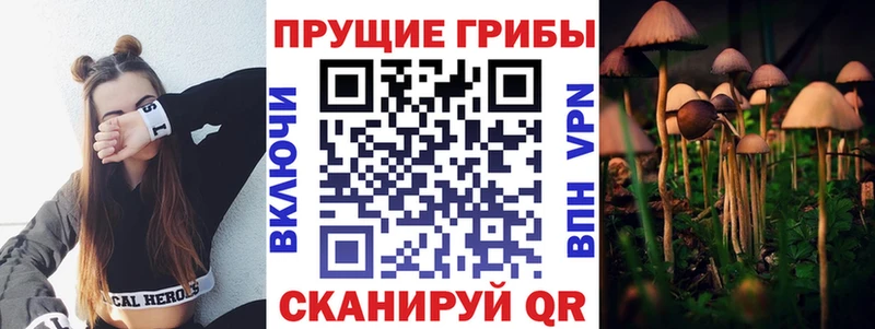 KRAKEN как войти Екатеринбург Галлюциногенные грибы прущие грибы